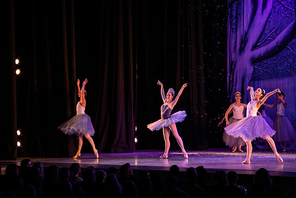 NLHL8135