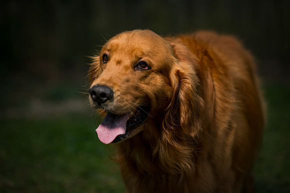 EM1_0213-Edit