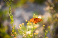 EM1_1784-Edit