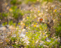 EM1_1782-Edit