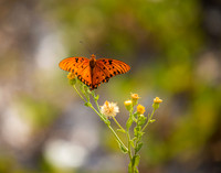 EM1_1787-Edit