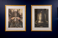 Gallery photos