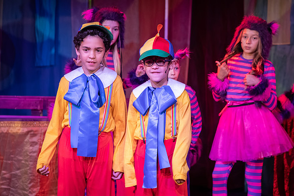 NLHL5231