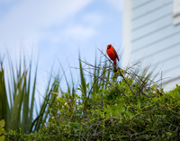 EM1_3475-Edit