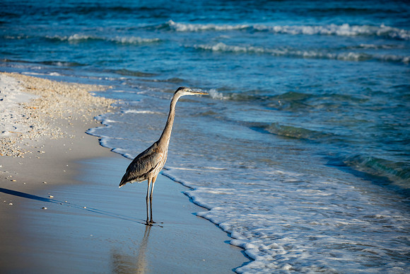 040A6262