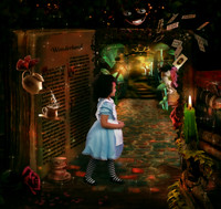 bg book Wonderland  Final