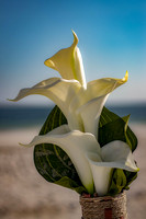 IMG_1226-Edit