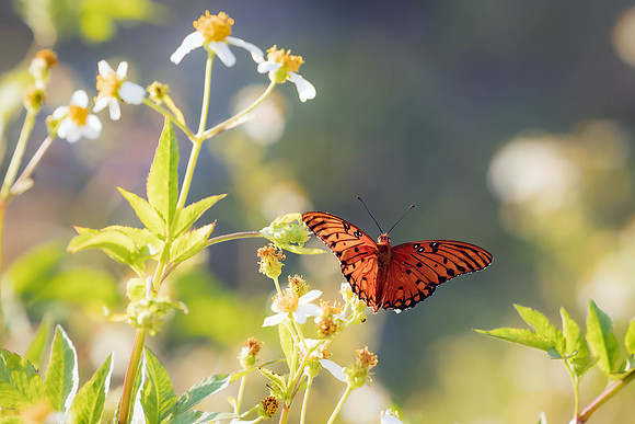 7S1A9500-Edit