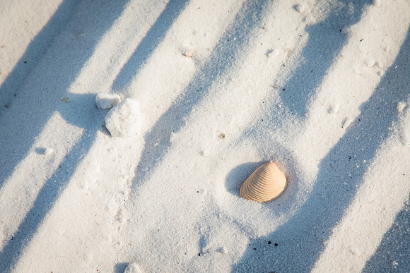 NLHL2687