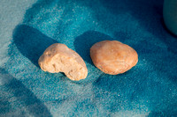 NLHL0990