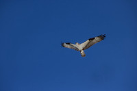 EAM_0767-Edit