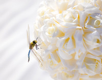 EAM_9066-Edit