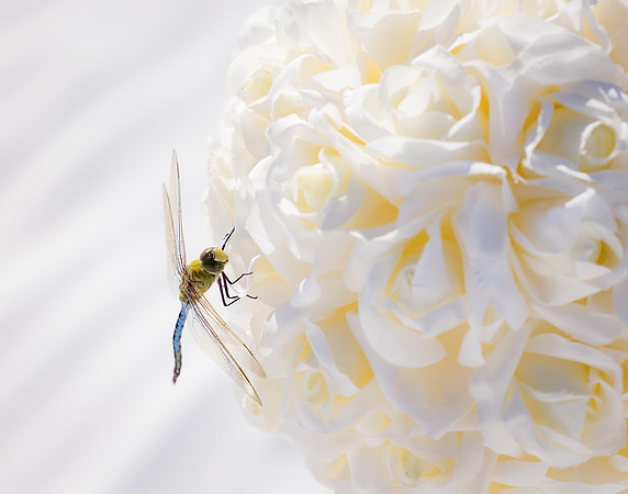 EAM_9066-Edit