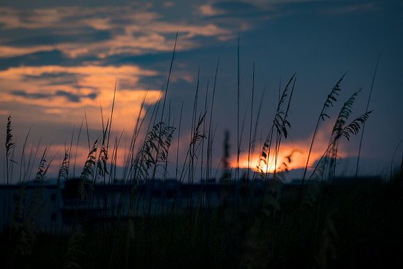 EM1_5438