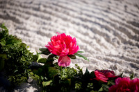 EAM_8714