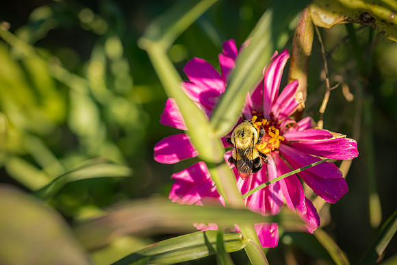 EM2_2701-Edit