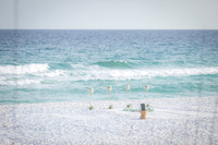 EM1_9986-Edit