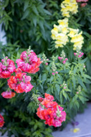 EM1_6790