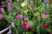 EM1_6788