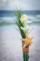 EM1_9372-Edit