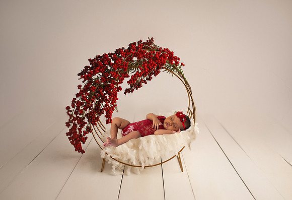 Yazlin Truitt Circular bed