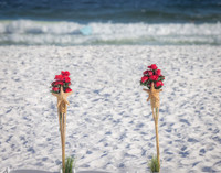 EM1_7278-Edit