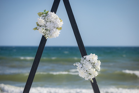 EM1_8833