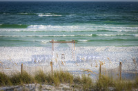 EM1_3918-Edit