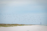 EM1_7995-Edit