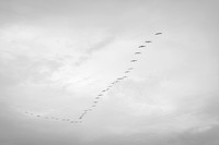 EM1_4945