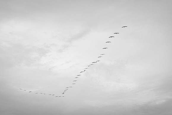EM1_4945