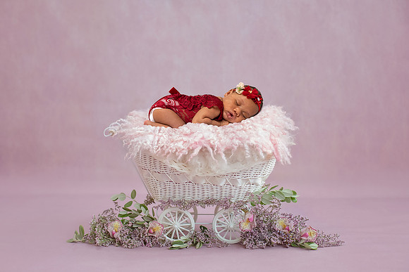 Yazlin Truit Carriage
