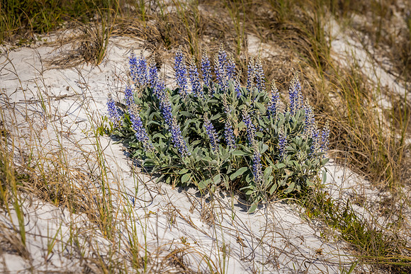 EM1_6992-Edit