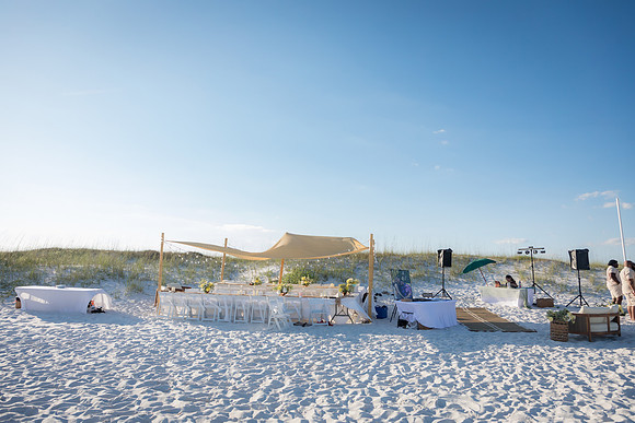 NLHL7169