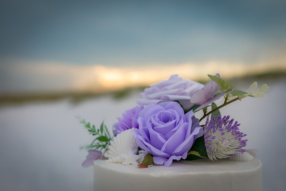 NLHL5868-Edit
