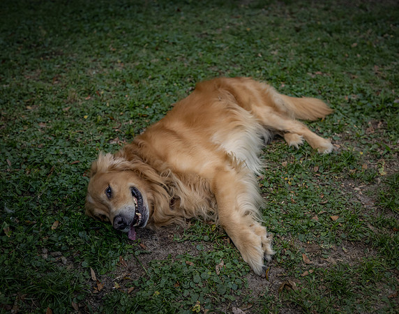 EM2_5466-Edit