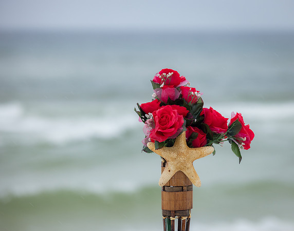 EM1_2234