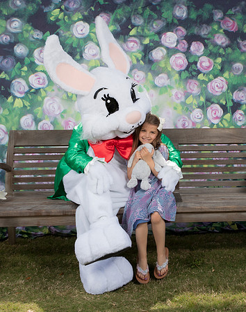 NLHL8116
