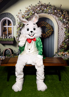03.31.2024 Easter Bunny St-593