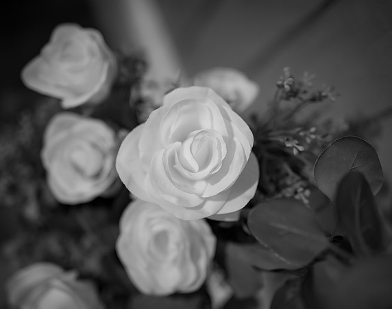 DSC06081