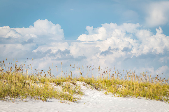IMG_5203-Edit