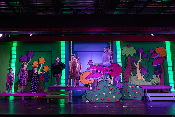 NLHL7644