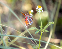 EAM_6735-Edit
