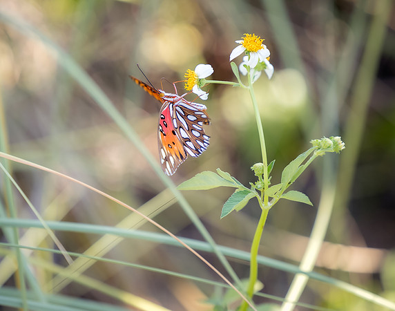 EAM_6735-Edit