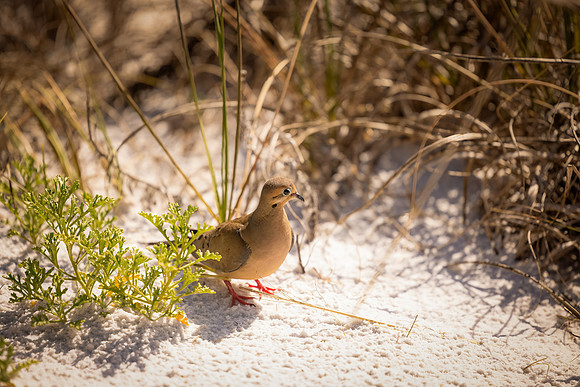 EM1_0637-Edit