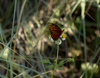 EAM_6731