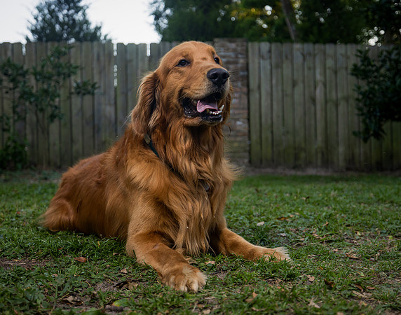 EM2_5486-Edit