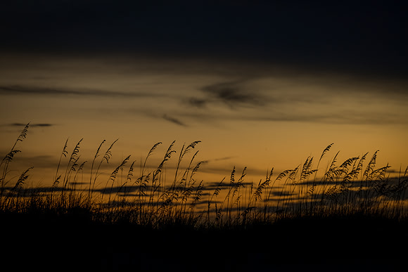 EM1_4044-Edit